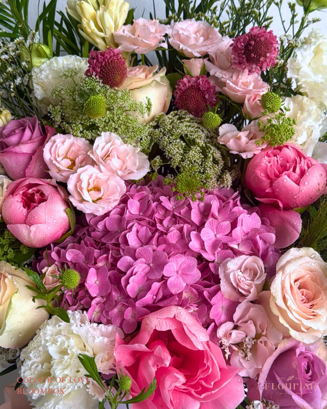 Colour of Love