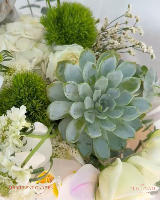 The Succulent Garden