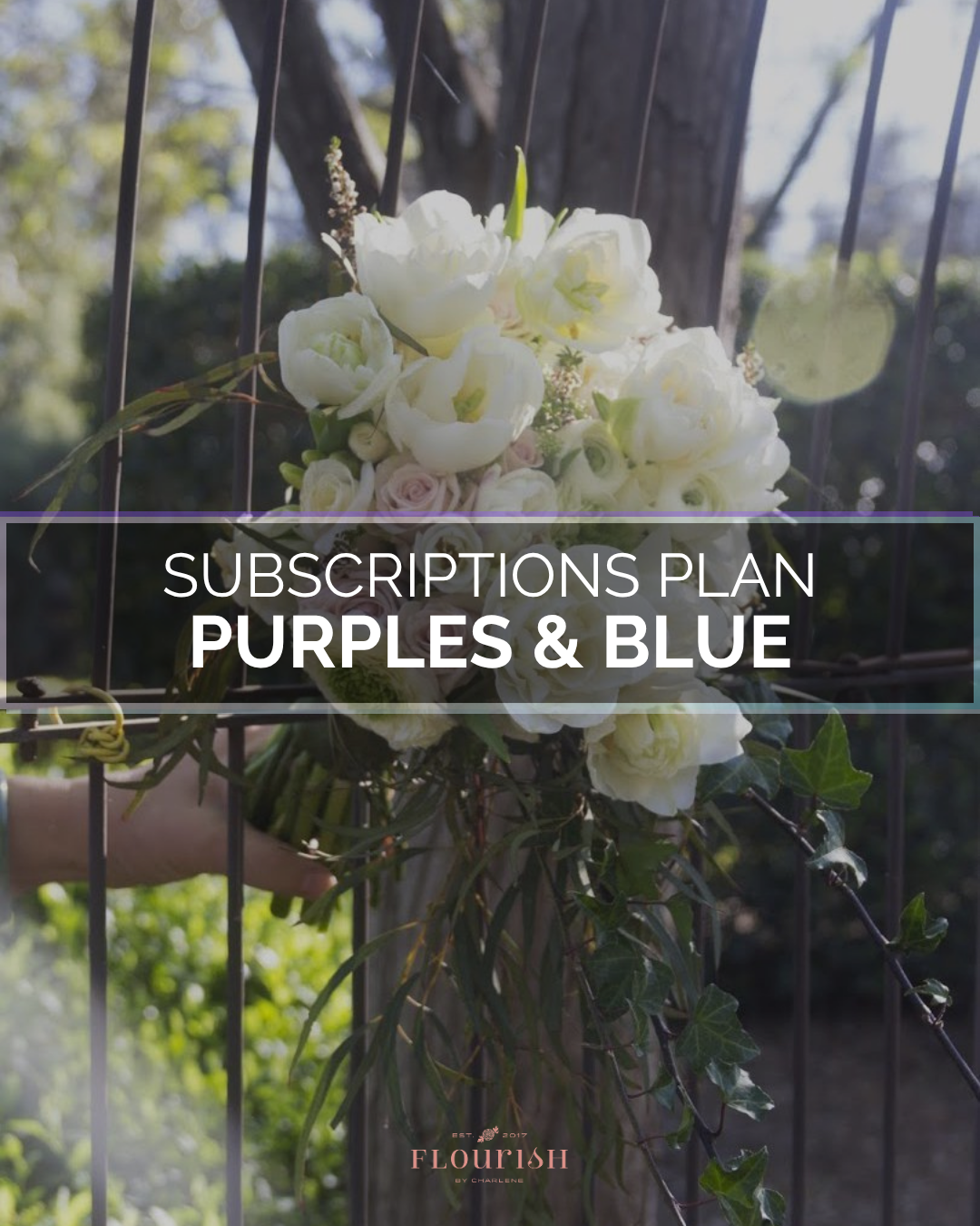 Purples & Blue