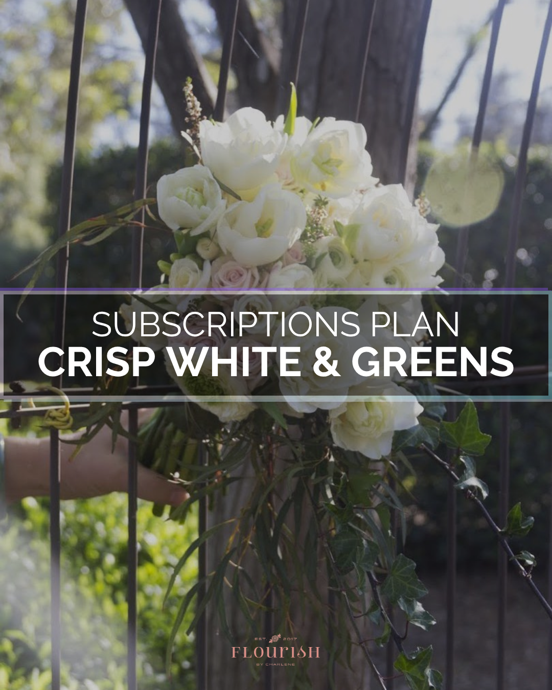 Crisp White & Greens
