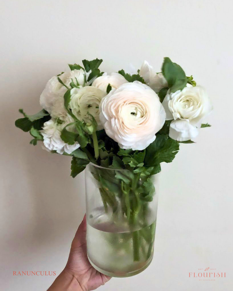 Ranunculus
