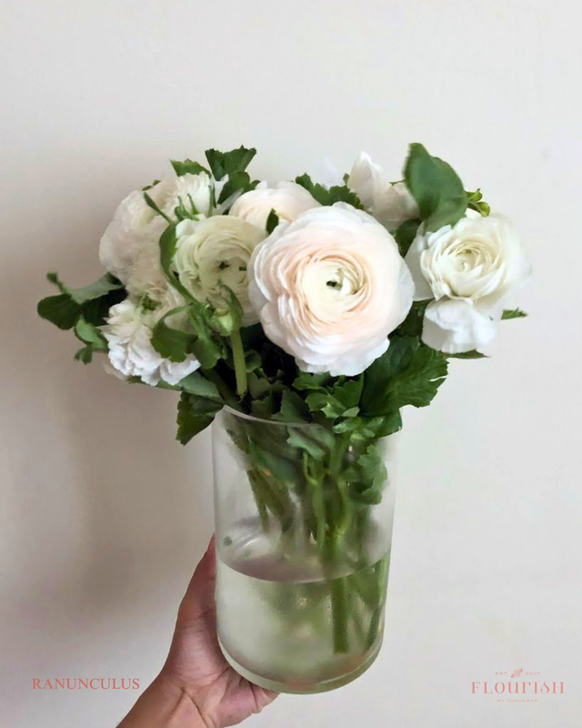 Ranunculus