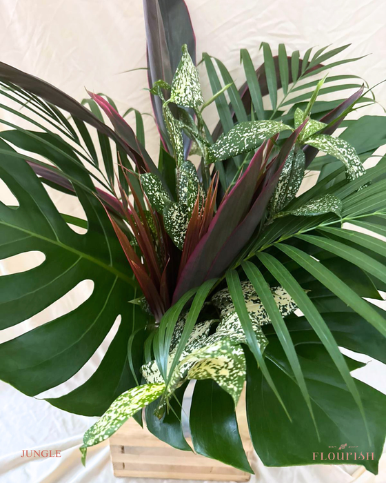 Jungle