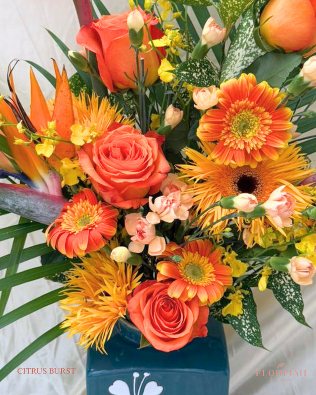 Citrus Burst