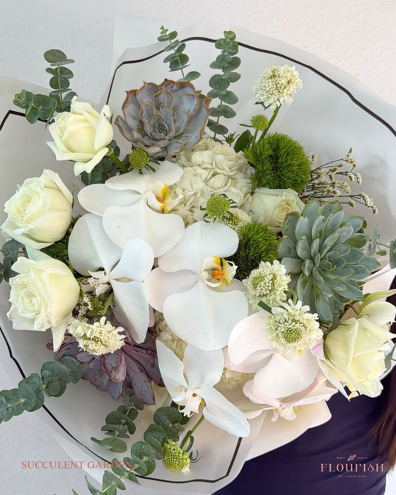 The Succulent Garden