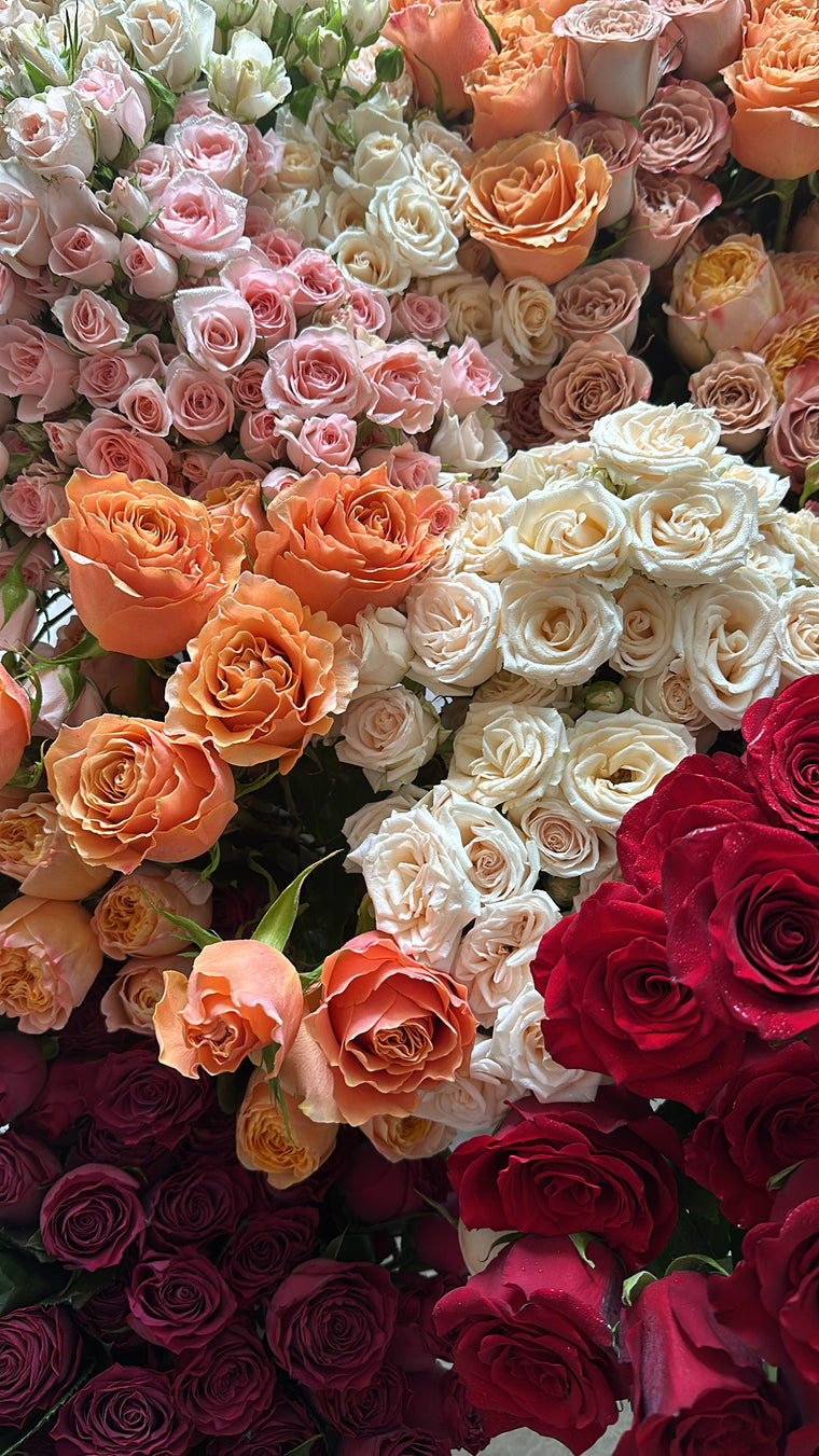 Bespoke Premium Large- Roses Series