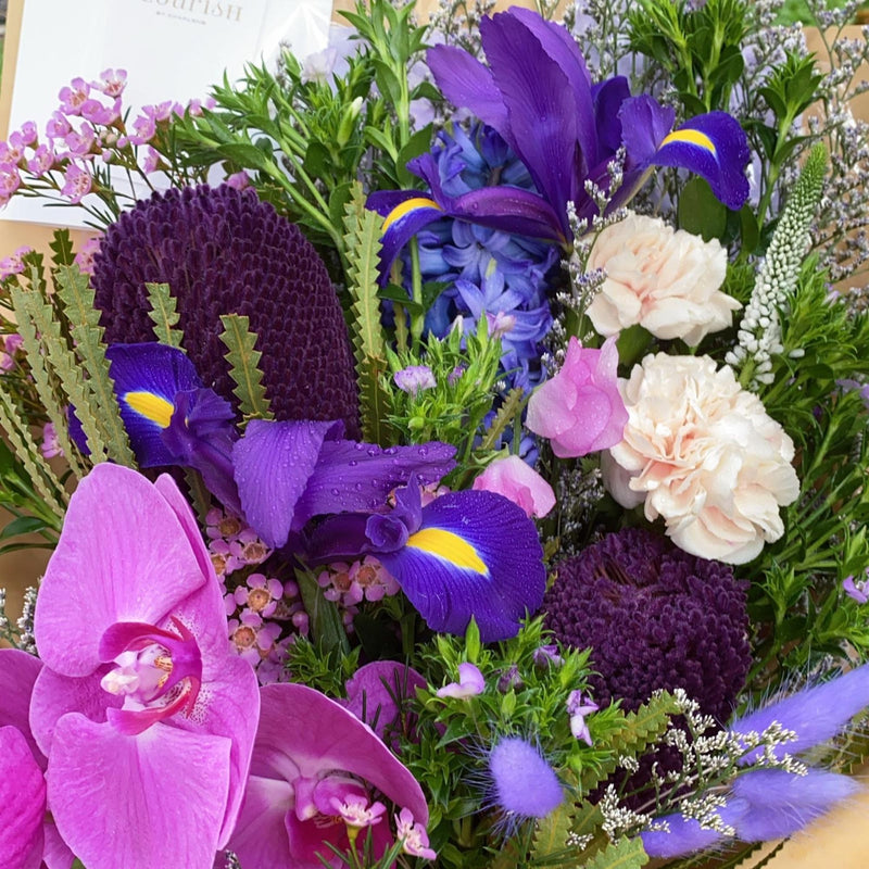 Potpurri - Featuring a single phalaenopsis orchid with an unlikely mix of iris, banksias and rabbit tails - Orchid with mixed flowers bouquet - Flourish by Charlene