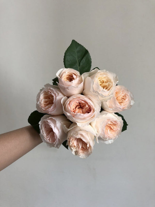 David Austins - Flower Bouquet - Flower in Vase - Flourish by Charlene